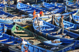 Essaouira Maroc 2009