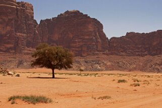 Wadi Rum Jordanie 2010