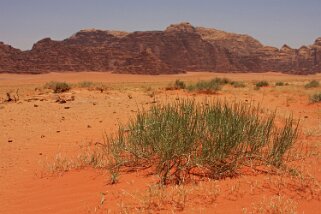 Wadi Rum Jordanie 2010