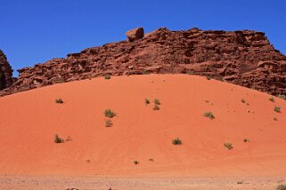 Wadi Rum Jordanie 2010