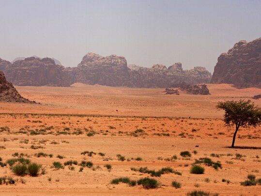 Wadi Rum Jordanie