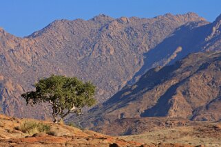 Brandberg Nature Reserve Namibie 2010