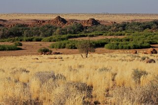 Brandberg Nature Reserve Namibie 2010