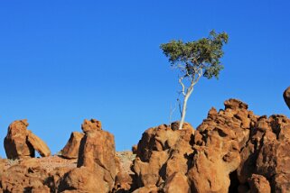 Brandberg Nature Reserve Namibie 2010