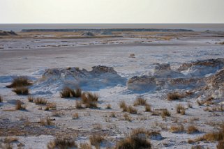 Etosha Pan - Etosha National Park Namibie 2010