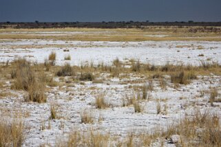 Etosha Pan - Etosha National Park Namibie 2010