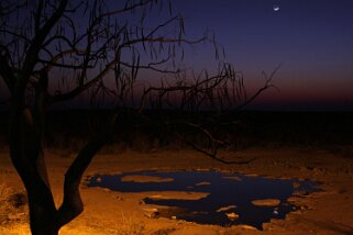 Etosha National Park Namibie 2010