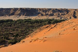 Homeb - Désert du Namibe Namibie 2010