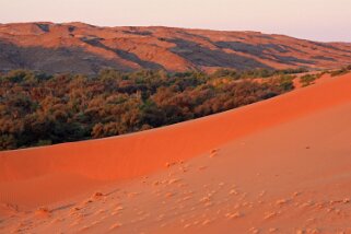 Homeb - Désert du Namibe Namibie 2010