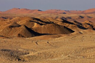 Homeb - Désert du Namibe Namibie 2010