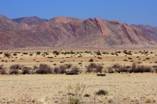 Naukluft Namibie 2010