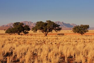 Sossusvlei - Désert du Namibe Namibie 2010