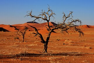 Sossusvlei - Désert du Namibe Namibie 2010