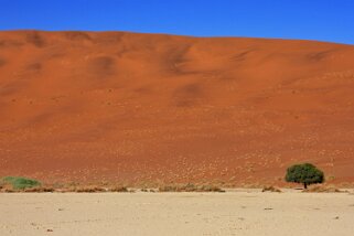 Sossusvlei - Désert du Namibe Namibie 2010