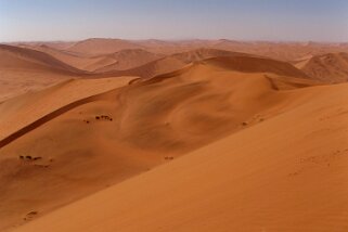 Sossusvlei - Désert du Namibe Namibie 2010