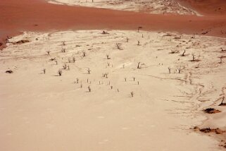 Sossusvlei - Désert du Namibe Namibie 2010