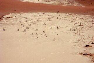 Sossusvlei - Désert du Namibe Namibie 2010