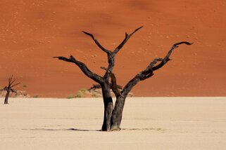 Sossusvlei - Désert du Namibe Namibie 2010