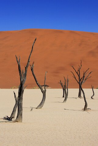 Sossusvlei - Désert du Namibe Namibie 2010