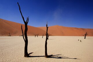 Sossusvlei - Désert du Namibe Namibie 2010