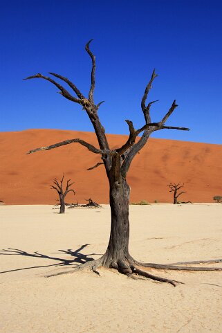 Sossusvlei - Désert du Namibe Namibie 2010