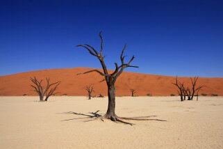 Sossusvlei - Désert du Namibe Namibie 2010