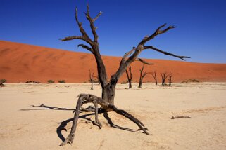 Sossusvlei - Désert du Namibe Namibie 2010