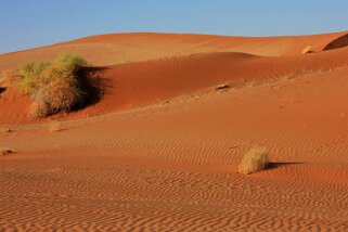 Sossusvlei - Désert du Namibe Namibie 2010