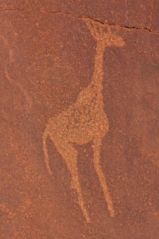 Gravures rupestres - Twyfelfontein Namibie 2010