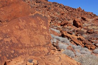 Gravures rupestres - Twyfelfontein Namibie 2010