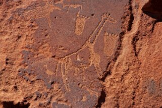 Gravures rupestres - Twyfelfontein Namibie 2010