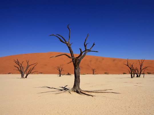 Sossusvlei - Namib Desert Namibie