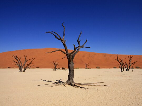 Sossusvlei - Namib Desert Namibie