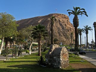 Arica