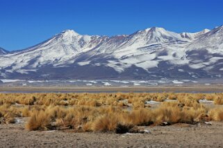 Salar de Ascotan Chili 2011