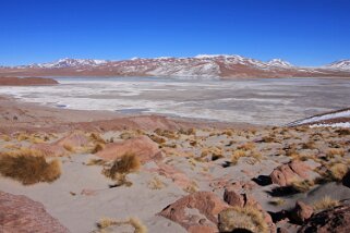 Salar de Capina Bolivie 2011