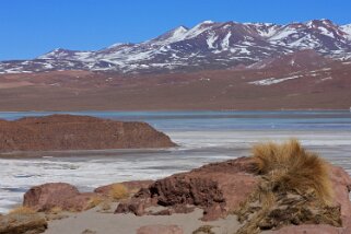 Salar de Capina Bolivie 2011