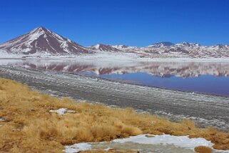 Laguna Colorada Bolivie 2011