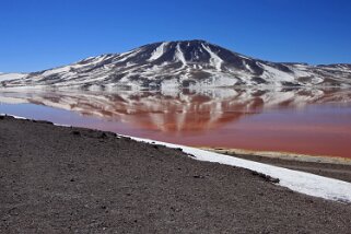 Laguna Colorada Bolivie 2011