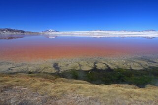 Laguna Colorada Bolivie 2011