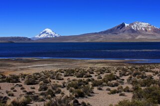 Lago Chungará - Nevado Sajama 6542 m (Bolivie) - Parque Nacional Lauca Chili 2011