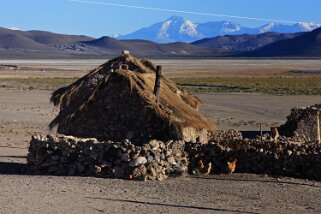 Challacollo Bolivie 2011