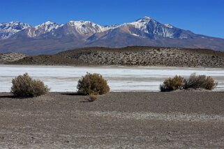 Salar de Coipasa Bolivie 2011