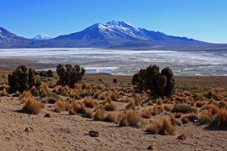 Salar de Surire Chili 2011