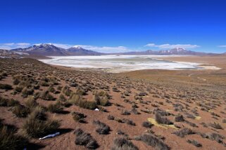 Salar de Surire Chili 2011