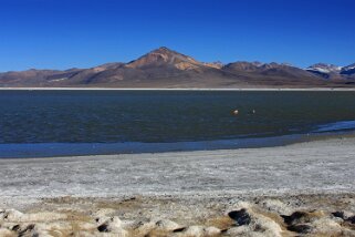 Salar de Surire Chili 2011