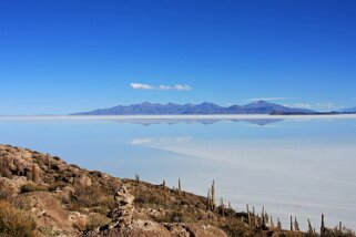 Isla Pescado - Salar de Uyuni Bolivie 2011