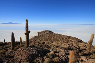 Isla Pescado - Salar de Uyuni Bolivie 2011