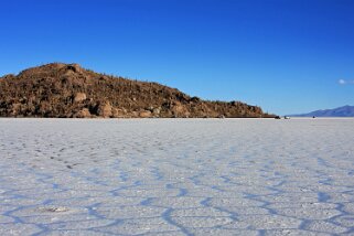 Isla Pescado - Salar de Uyuni Bolivie 2011