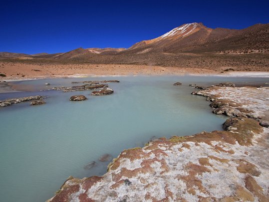 Salar de Surire Bolivie